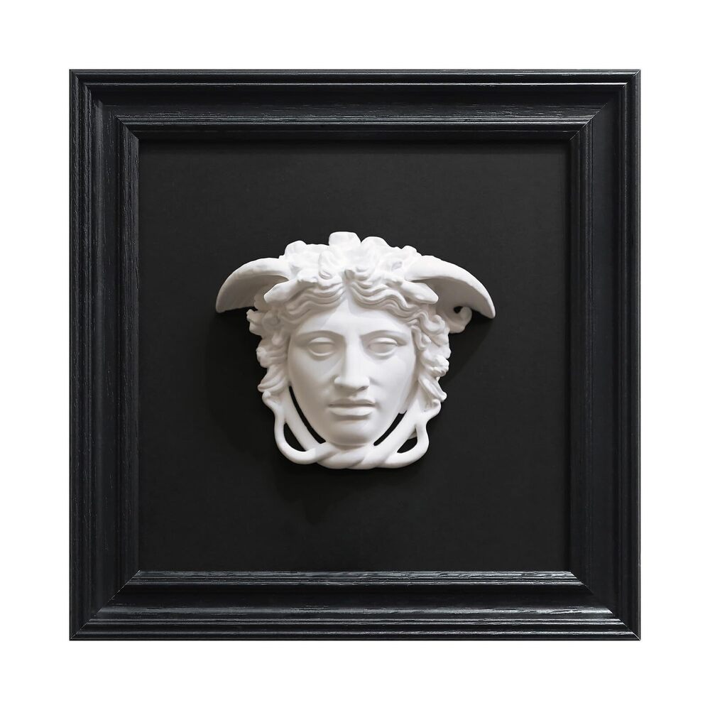7212 Black and White Framed Wall Art for Living Room Decor, Head of Medusa